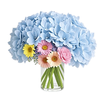 Pastel Blossom Grace
