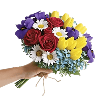 Crimson Rose Elegance