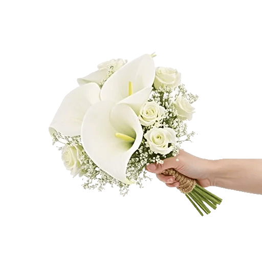 Elegant Calla Lilies