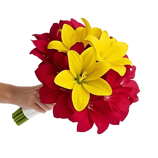 Blossom Harmony Display