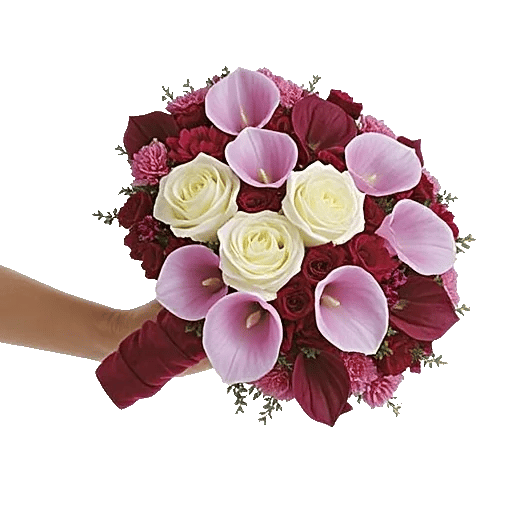 Elegant Calla Lilies