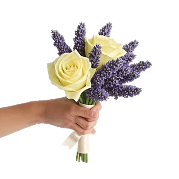 Rosemary Bloom Elegance
