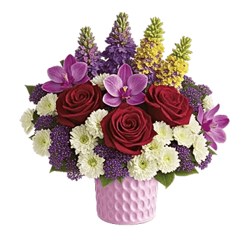 Radiant Rose Symphony