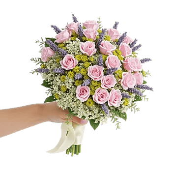 Ivory Garden Grace