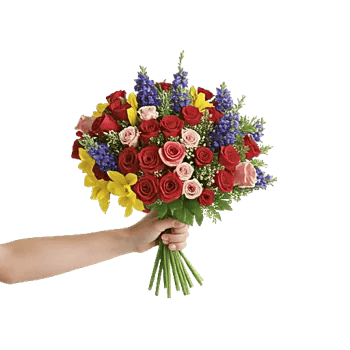 Blossom Harmony Display