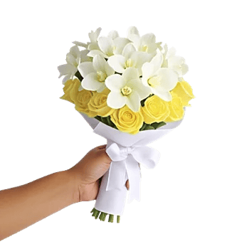 Modern White Orchids