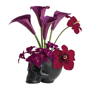 Elegant Calla Lilies