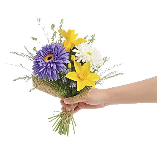 Golden Petal Harmony