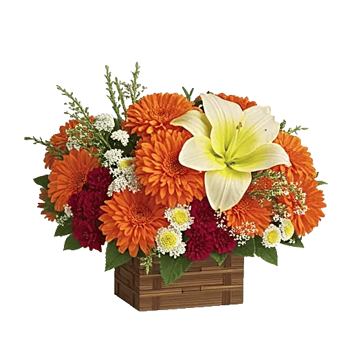 Vibrant Orange Delight