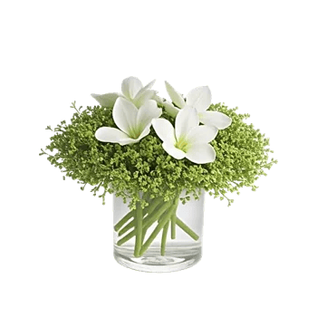 Minimalist White Orchids