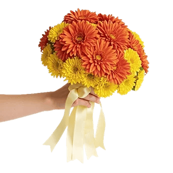 Radiant Bloom Cascade