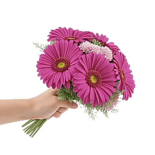 Blossom Petal Serenity