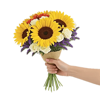 Tropical Sunflower Burst