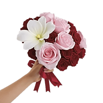 Petal Grace Harmony