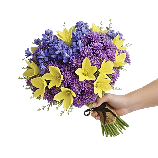 Blushing Rose Symphony