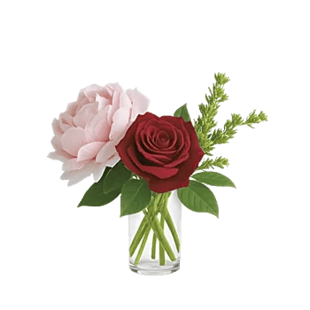 Petal Radiance Bliss