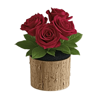 Crimson Rose Elegance