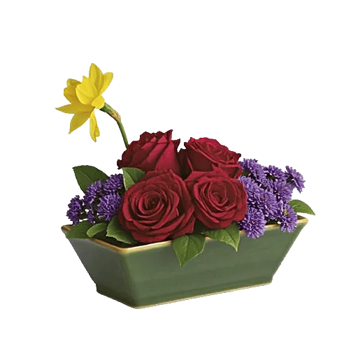 Blossom Harmony Display