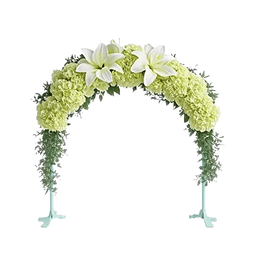 Ivory Blossom Radiance