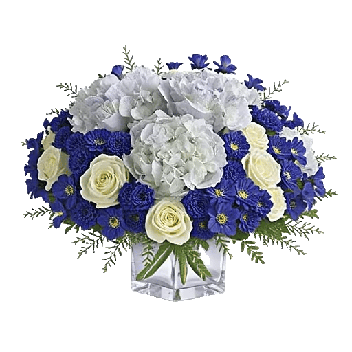 Sapphire Bloom Whisper