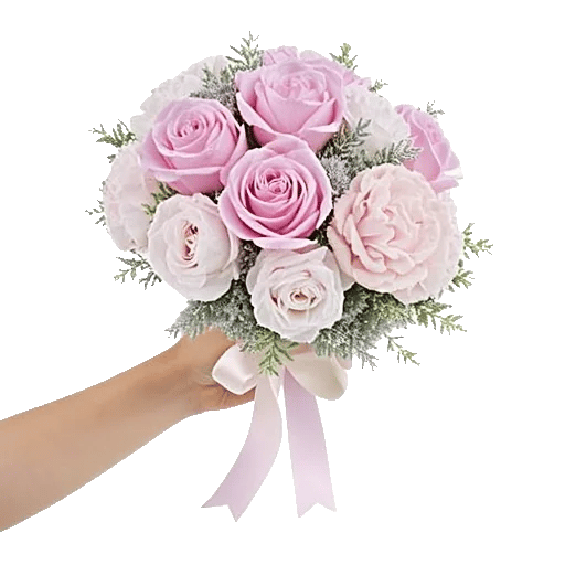 Pastel Pink Roses