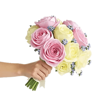 Delicate Petal Cascade