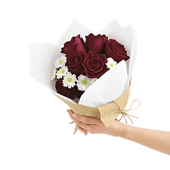 Delicate Petal Cascade