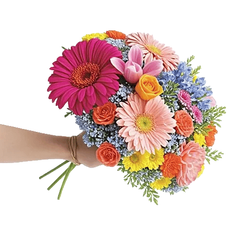 Blossom Petal Serenity