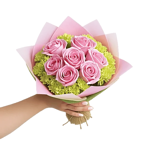 Pastel Pink Roses