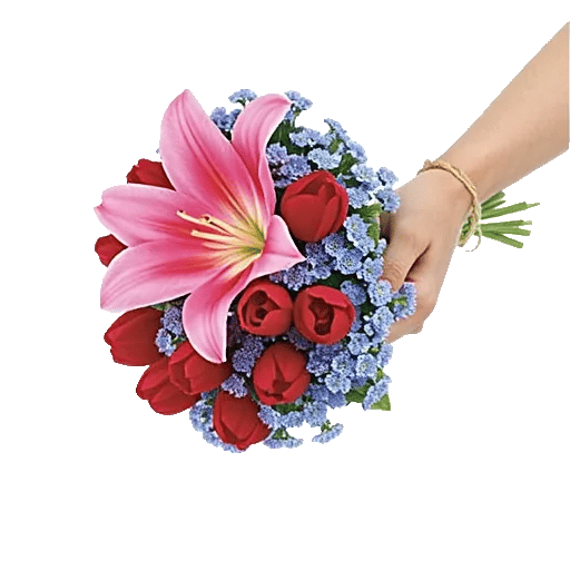 Blossom Petal Serenity