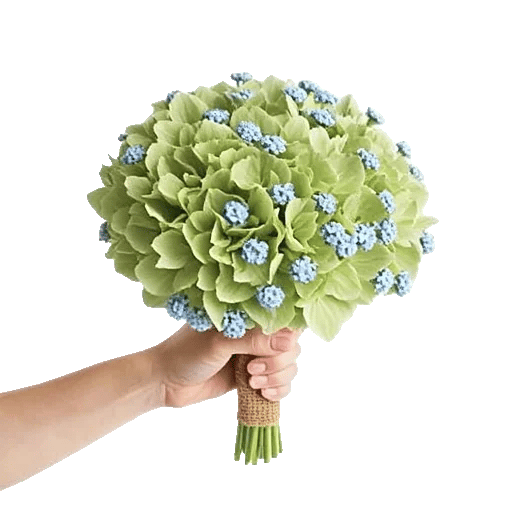 Serene Petal Harmony