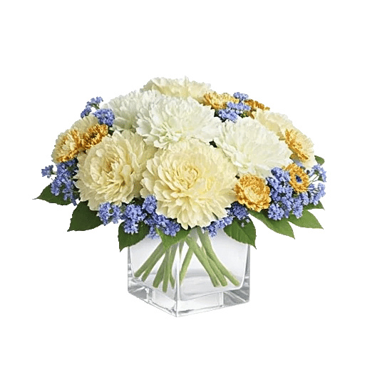 Delicate Petal Cascade