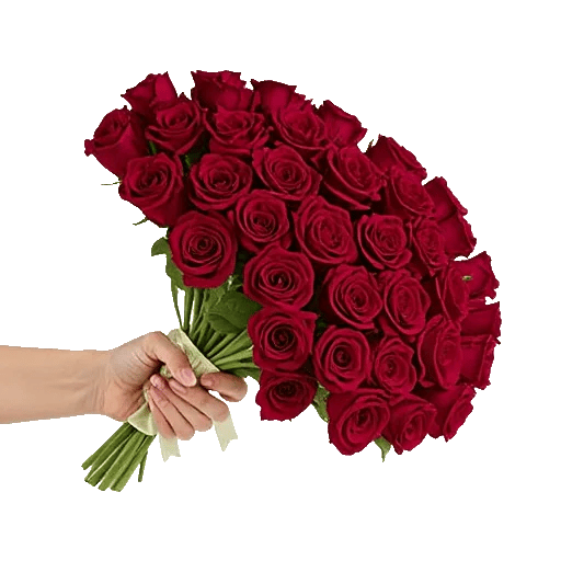 Crimson Rose Elegance