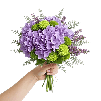 Serene Petal Harmony