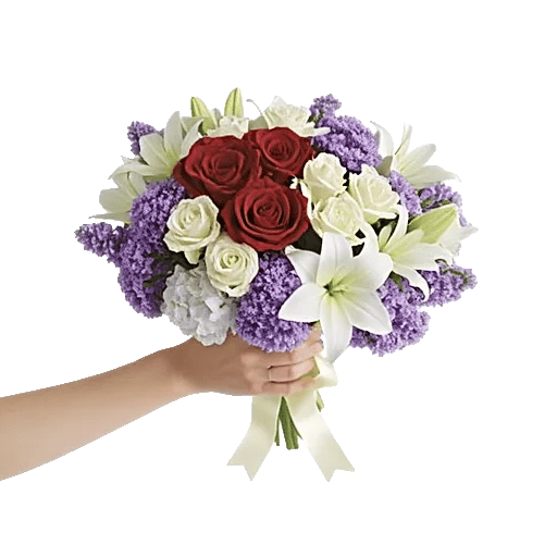 Crimson Rose Elegance