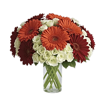 Crimson Blossom Harmony