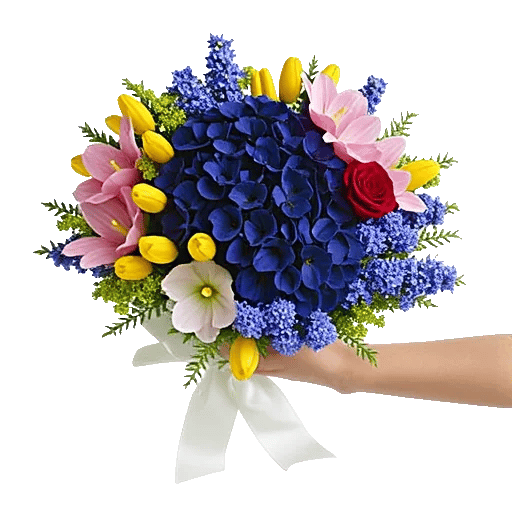 Sapphire Bloom Whisper