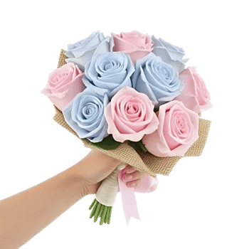 Pastel Pink Roses