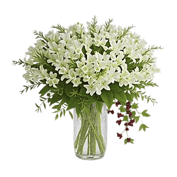 Ivory Blossom Radiance
