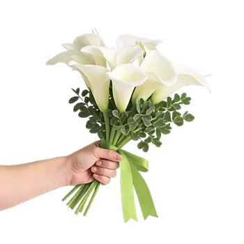 Elegant Calla Lilies