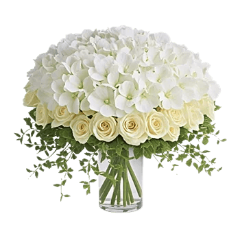 Ivory Blossom Radiance