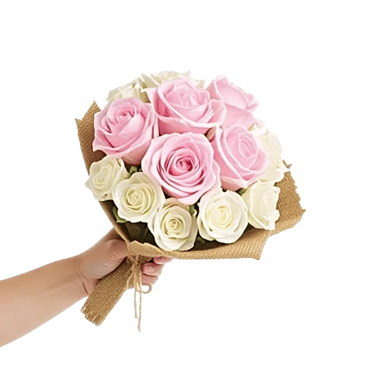 Pink Pastel Roses