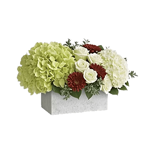 Serene Petal Harmony