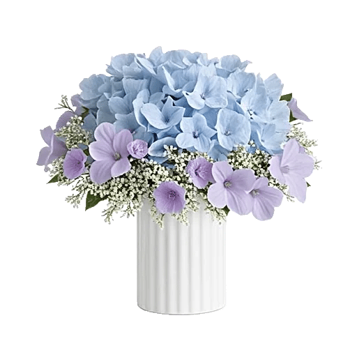 Serene Petal Harmony