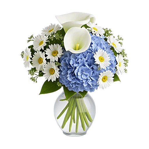 Elegant Calla Lilies