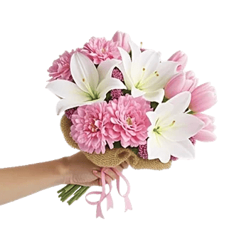 Blushing Rose Symphony