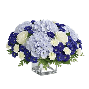 Sapphire Bloom Whisper