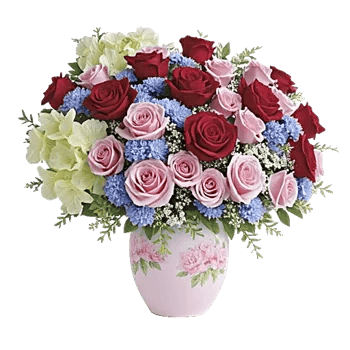 Radiant Rose Symphony