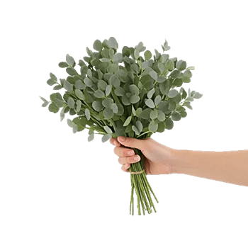 Emerald Leaf Harmony