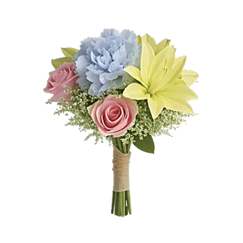 Blossom Petal Serenity